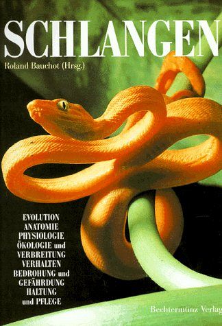 Schlangen