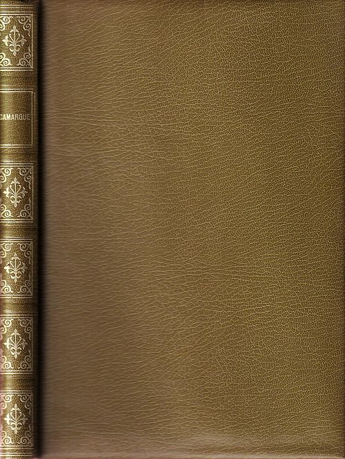 Camargue - Wildes Land in Gefahr