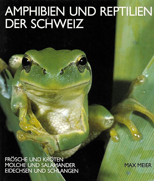 Amphibien und Reptilien der Schweiz 