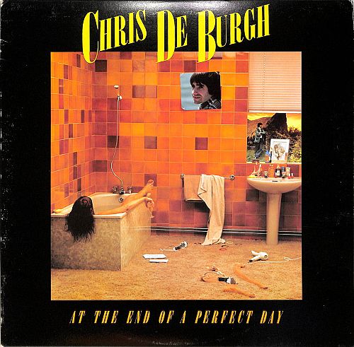 At the end of a perfect day [Vinyl]