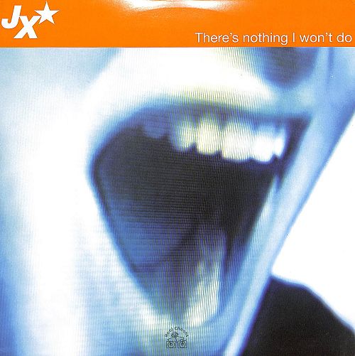 There's nothing I won't do [Vinyl]