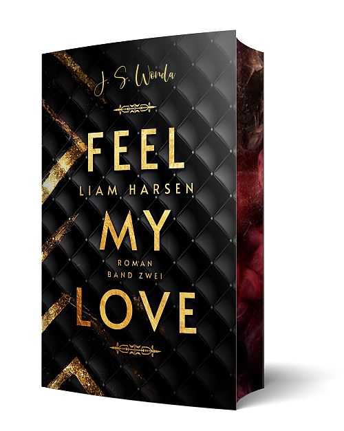 Liam Harsen - Feel my love