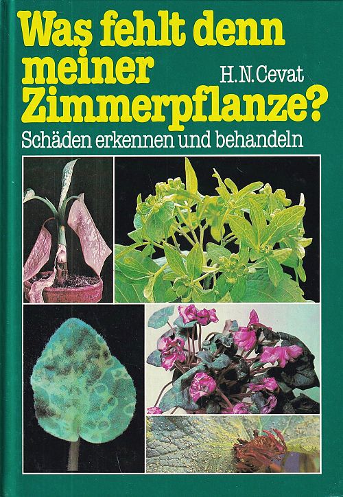 Was fehlt denn meiner Zimmerpflanze?