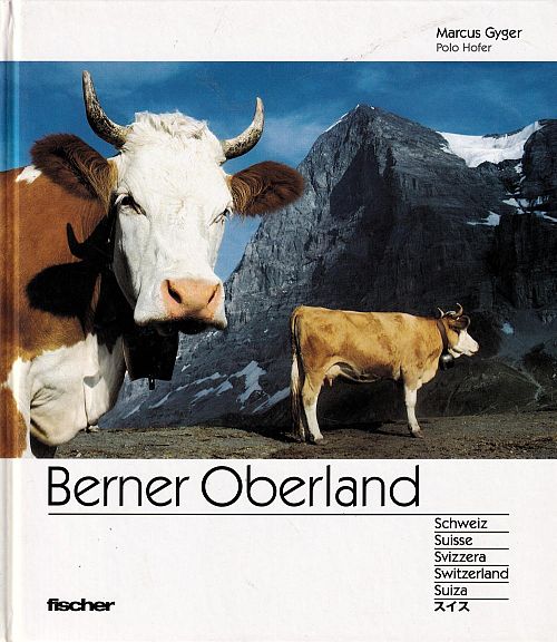 Berner Oberland 