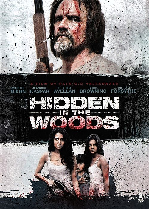 Hidden in the woods [DVD]