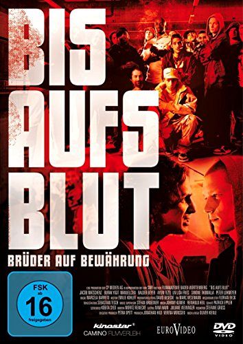 Bis aufs Blut - Brüder auf Bewährung [DVD]