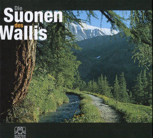 Die Suonen des Wallis