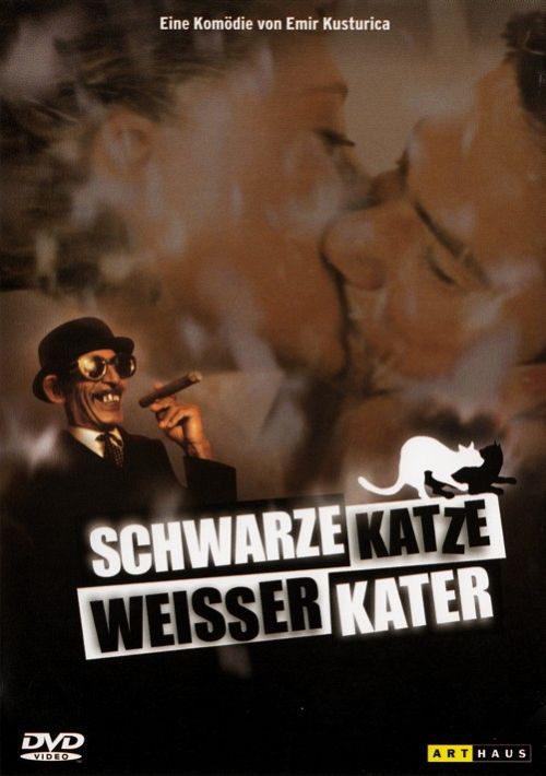 Schwarze Katze, weisser Kater [DVD]