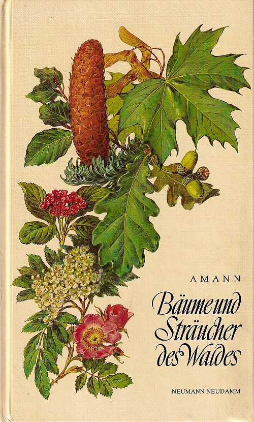 Bäume und Sträucher des Waldes