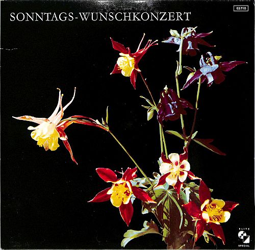 Sonntags-Wunschkonzert [Vinyl]