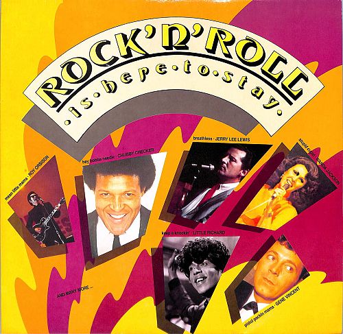 Rock'n'Roll is here to stay [Vinyl]
