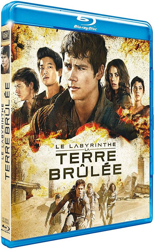 Le Labyrinthe 2 - La terre brûlée [Blu-ray]