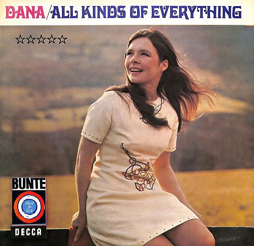 All kinds of everything [Vinyl]