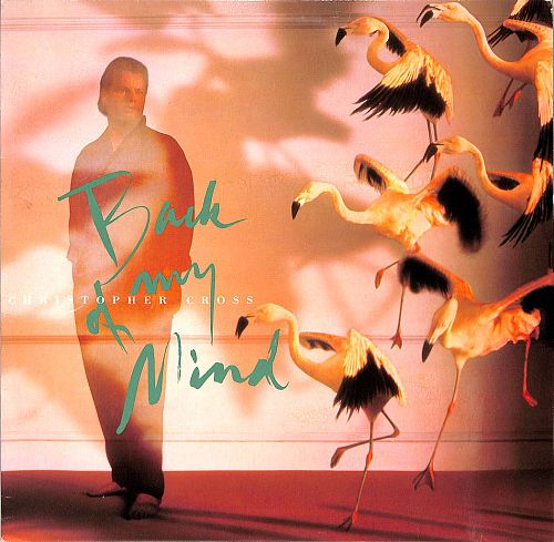 Back Of My Mind  [Vinyl]