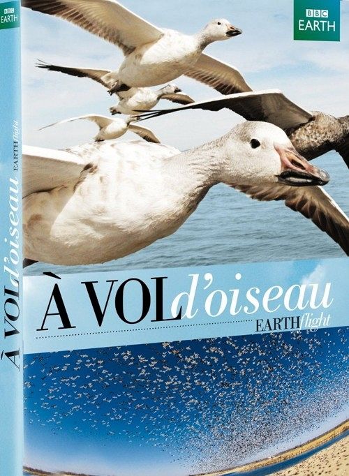 À vol d'oiseau [DVD]