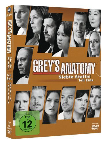 Grey's Anatomy - Staffel 7.1 [DVD]