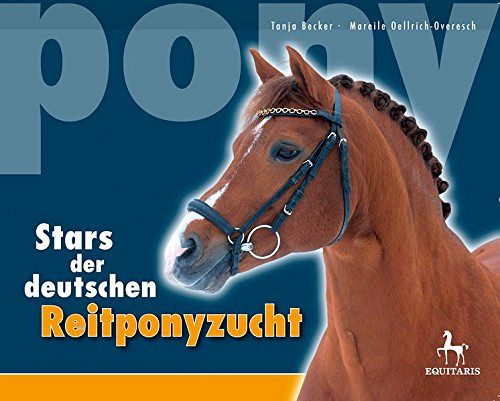 Stars der deutschen Reitponyzucht