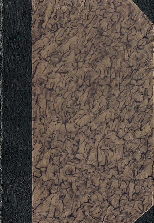 Walliser Sagen - Erster Band