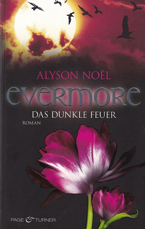 Evermore - Das dunkle Feuer