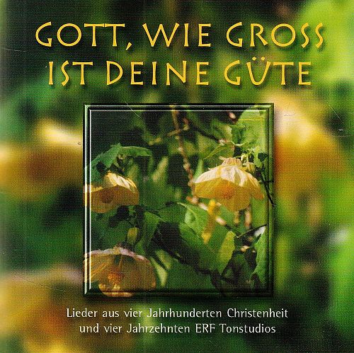 Gott, wie gross ist deine Güte [CD]