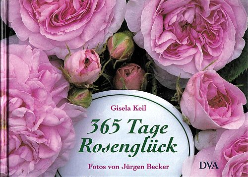 365 Tage Rosenglück