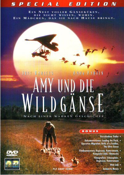Amy und die Wildgänse [DVD]
