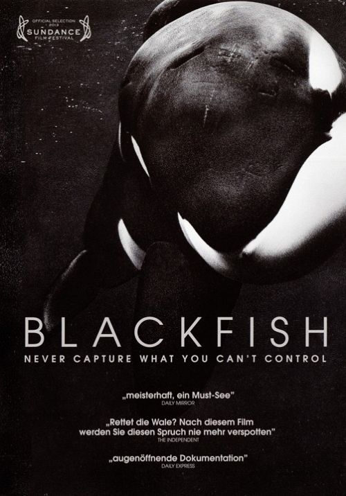 Blackfish (OmU) [DVD]