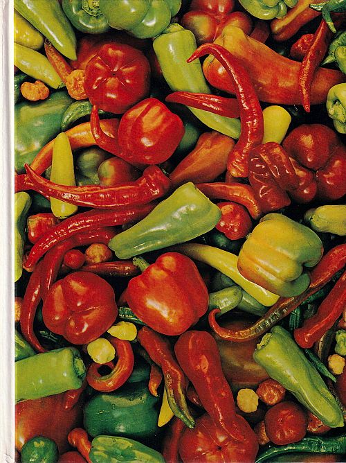 Die Küche in Lateinamerika