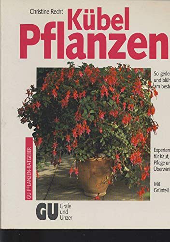 Kübelpflanzen - So gedeihen und blühen sie am besten