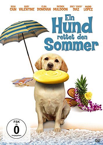 Ein Hund rettet den Sommer [DVD]