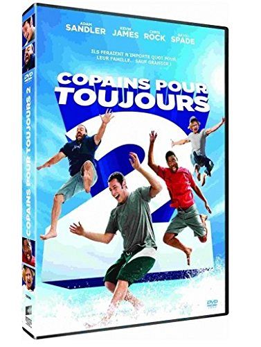 Copains pour toujours 2 [DVD]