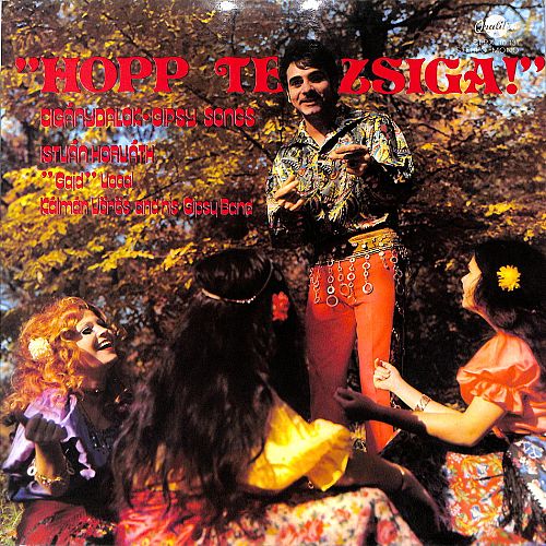 Hopp Te Zsiga!  [Vinyl]