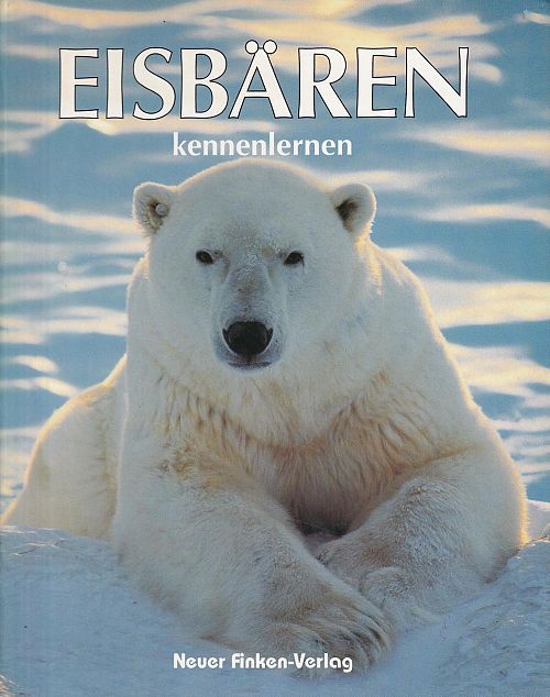 Eisbären kennenlernen