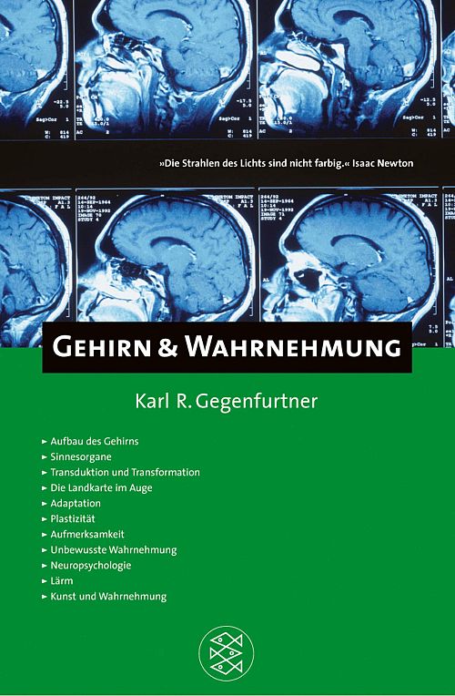 Gehirn & Wahrnehmung