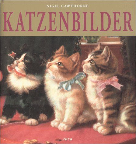 Katzenbilder