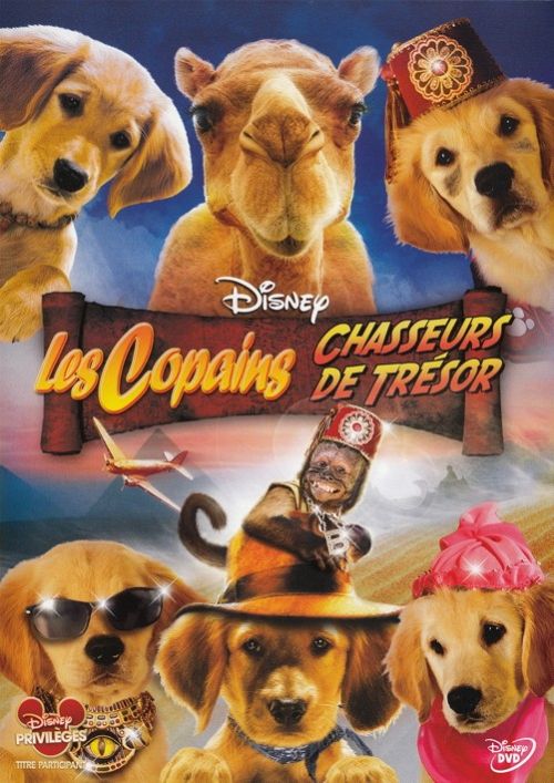 Les Copains chasseurs de trésor [DVD]