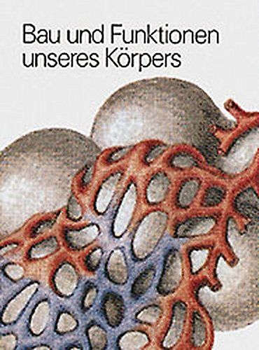 Bau und Funktionen unseres Körpers