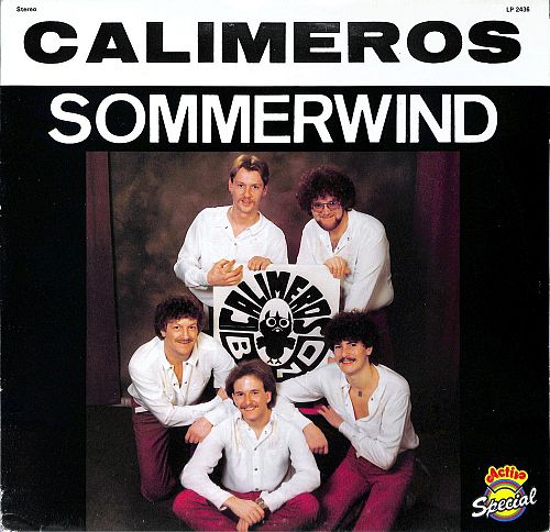 Sommerwind [Vinyl]