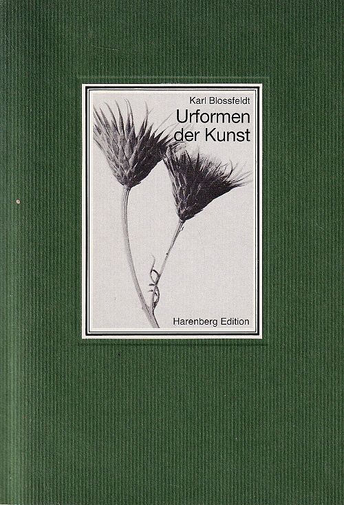 Urformen der Kunst