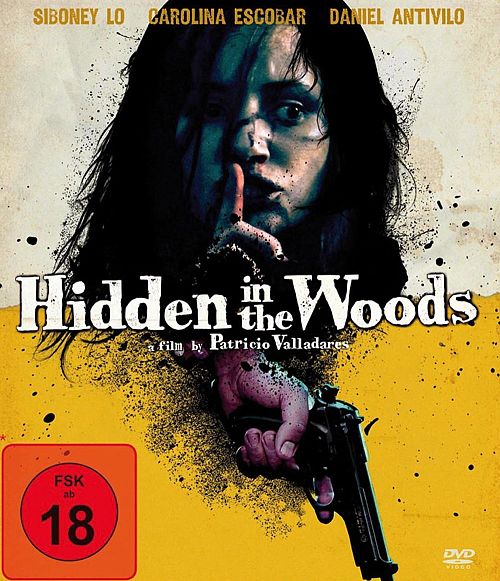 Hidden in the woods [Blu-ray]