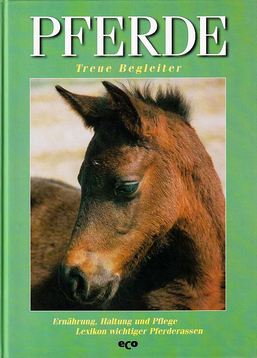 Pferde - Treue Begleiter