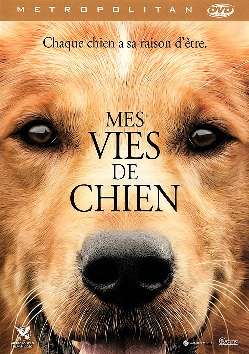 Mes vies de chien [DVD]