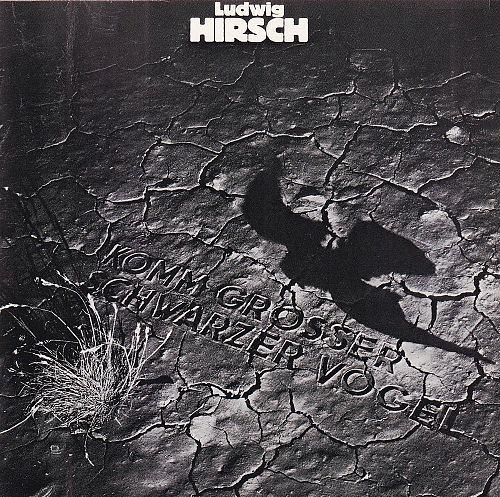 Komm grosser schwarzer Vogel [CD]