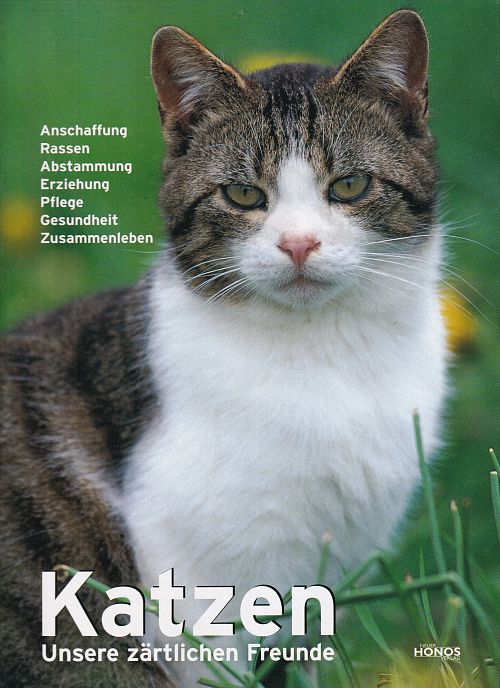 Katzen
