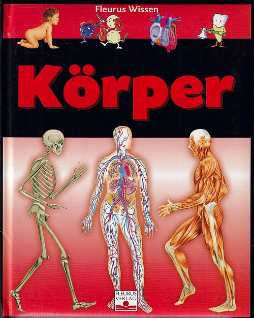 Körper