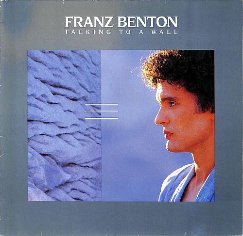 Talking to a wall [Vinyl]