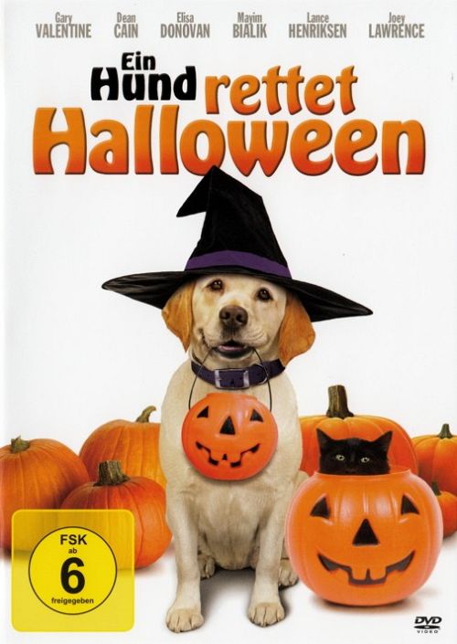 Ein Hund rettet Halloween [DVD]