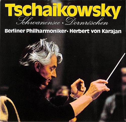 Schwanensee - Dornröschen [Vinyl]