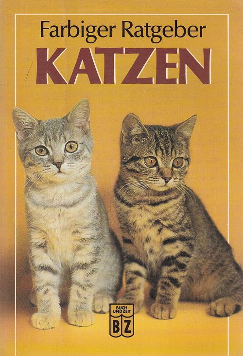 Katzen