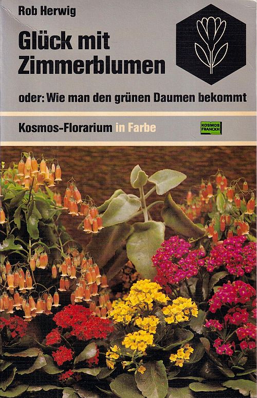 Glück mit Zimmerblumen